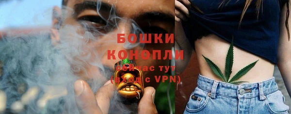 крисы Баксан
