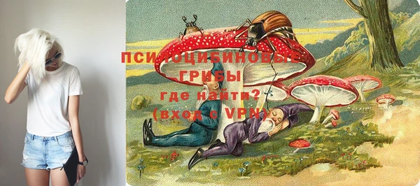 крисы Баксан