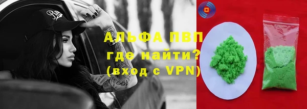 крисы Баксан